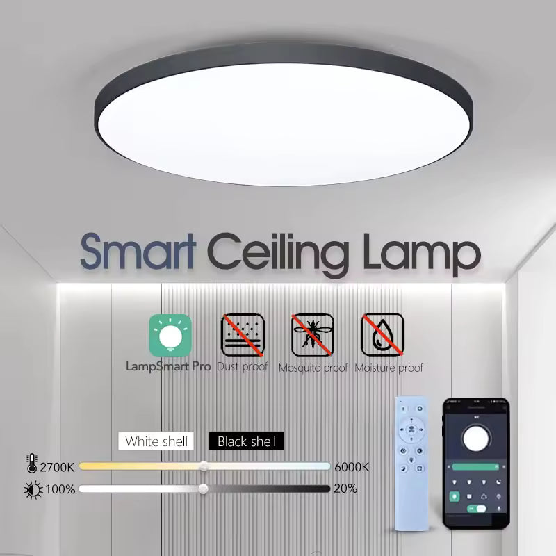 Light Fixtures