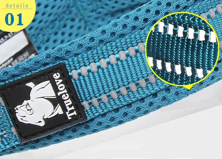 Truelove Pet Dog Collar Nylon Adjustable Webbing Padded Soft Reflective Durable Heavy Duty Training Custom Luxury Cat TLC5011